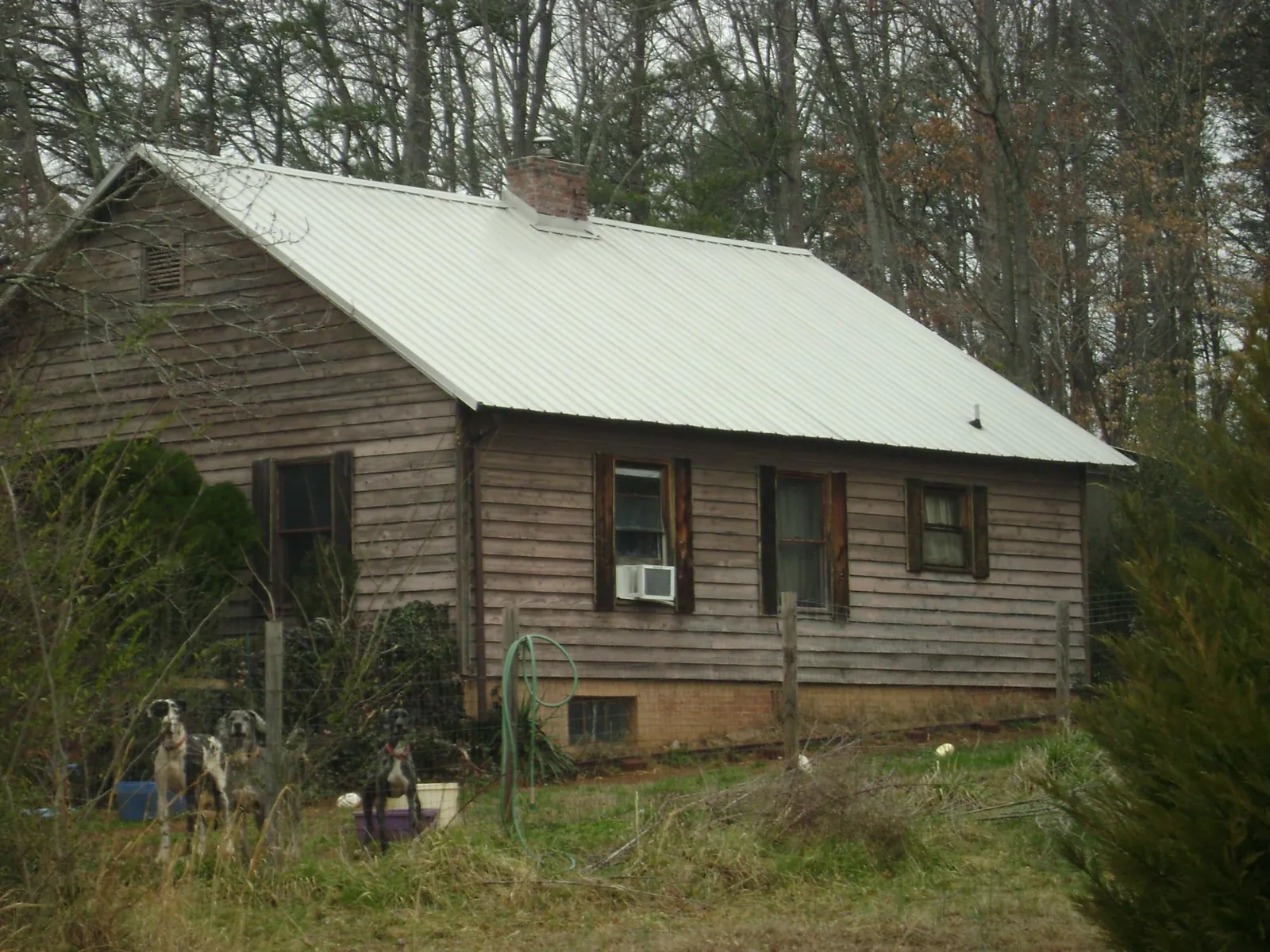 White metal roof on an old wood sided farmhouse, from a Asphalt Shingle Roof Repair job in Emmett